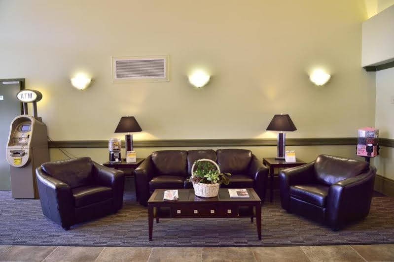 Quality & Hotel